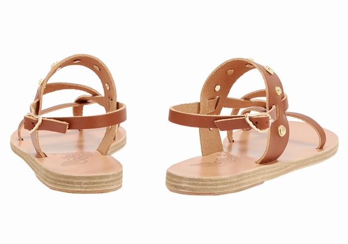 Sandales Bride Arrière Ancient Greek Sandals Alethea Bee   | SYF-9755591